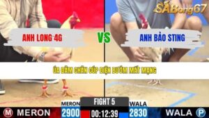 TRẬN 5 CPC2 24/4/2026