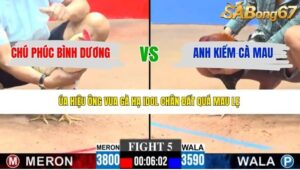 TRẬN 5 CPC3 19/4/2026