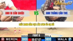 TRẬN 6 CPC2 24/4/2026