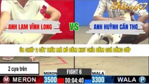 TRẬN 6 CPC2 25/4/2026