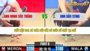 TRẬN 6 CPC2 29/4/2026