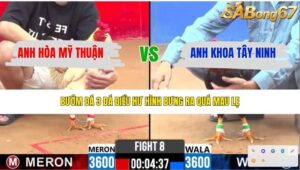 TRẬN 8 CPC2 12/4/2026