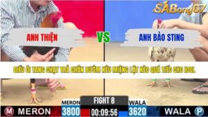 TRẬN 8 CPC2 24/4/2026