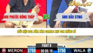 TRẬN 8 CPC2 25/4/2026