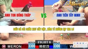 TRẬN 8 CPC3 14/4/2026