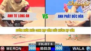 TRẬN 8 CPC3 20/4/2026