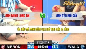 TRẬN 8 CPC3 26/4/2026