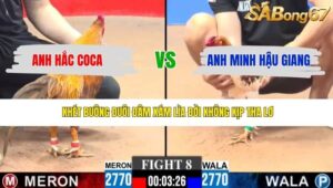 TRẬN 8 CPC3 27/4/2026