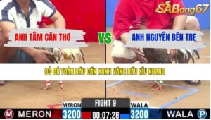 TRẬN 9 CPC2 18/4/2026