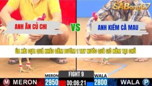 TRẬN 9 CPC2 20/4/2026