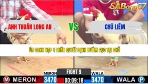 TRẬN 9 CPC2 26/4/2026