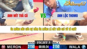 TRẬN 3 CPC3 2/5/2026